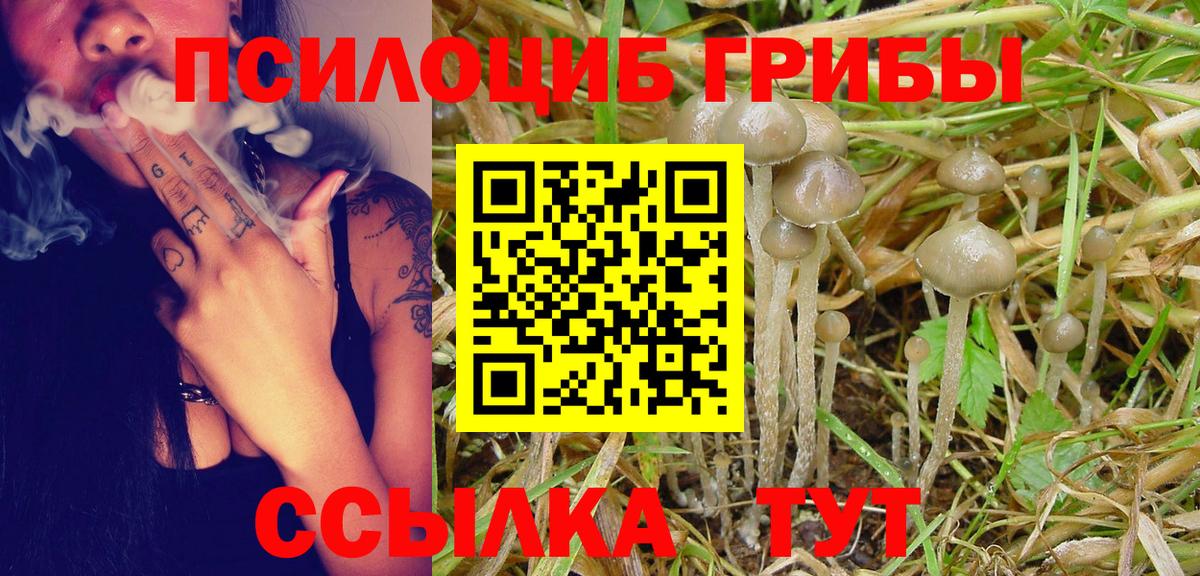 Изобильный  Псилоцибиновые грибы Cubensis  Вход с VPN 