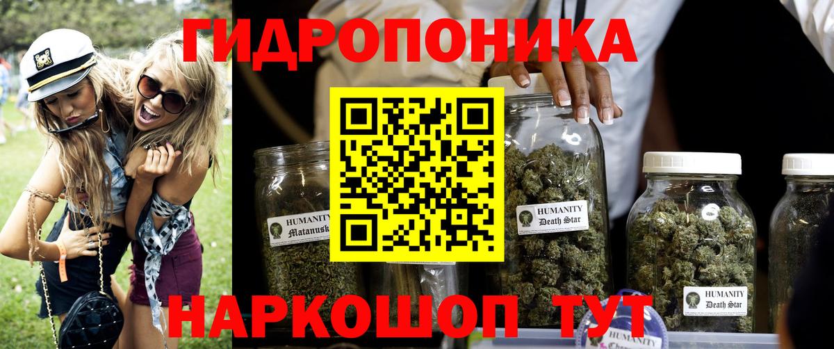 Бошки марихуана OG Kush Изобильный